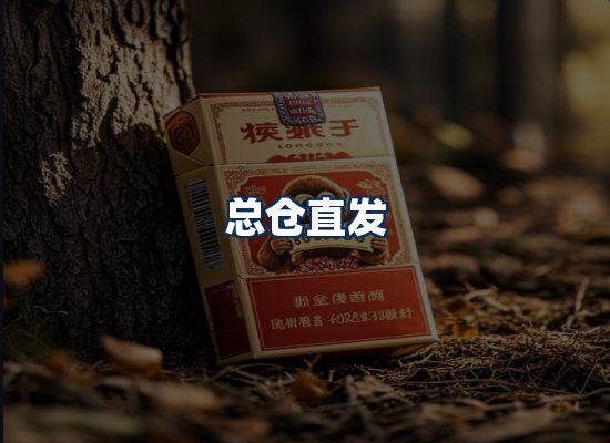 专业团队办公环境